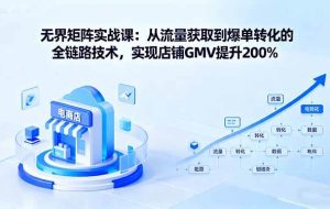 （16104期）无界矩阵实战课：从流量获取到爆单转化的全链路技术，实现店铺GMV提升200%
