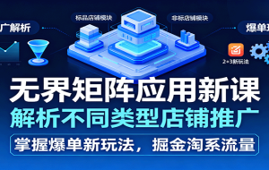 无界矩阵应用新课，解析不同类型店铺推广，掌握爆单新玩法，掘金淘系流量