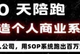 40天陪跑打造个人商业系统，一人公司，用SOP系统跑出百W变现