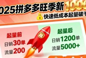 2025拼多多旺季新老店铺——快速低成本起量破千单