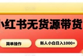 小红书无货源带货项目，简单无脑，新人小白日入多张