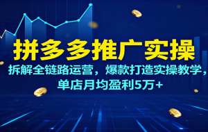 拼多多推广实操，拆解全链路运营，爆款打造实操教学，单店月均盈利5万+
