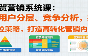外贸营销系统课：含用户分层、竞争分析，授卖品、定位策略，打造高转化营销内容