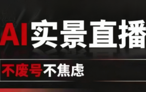 宝子哥9月20线下课11期AI实景直播（录音+字幕）