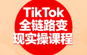 小杨老师·TikTok全链路变现实操课程