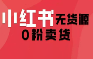 爱野佩佩·小红书无货源0分卖货（更新2025）
