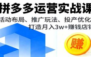 （16135期）拼多多运营实战课，活动布局、推广玩法、投产优化，打造月入3w+赚钱店铺