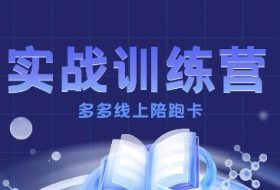 多多实战训练营，从0到1打造一个真正賺钱的店铺