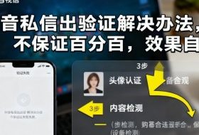 抖音私信出验证解决办法，不保证百分百，效果自测