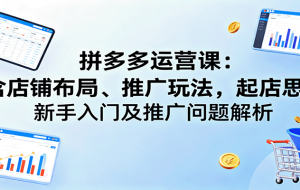 拼多多运营课：含店铺布局、推广玩法，起店思路，新手入门及推广问题解析