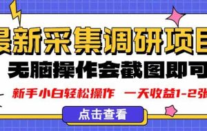 （16155期）新版采集调研项目，截图上传即可，无脑操作，日收益1-2张