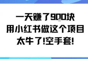 一天挣了9张用小红书做这个项目太牛了，空手套