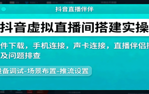 抖音虚拟直播间搭建实操、软件下载，手机连接，声卡连接，直播伴侣操作及问题排查