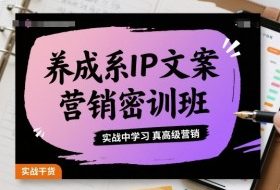 养成系IP文案营销密训班，实战中学习真高级营销