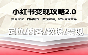 小红书变现攻略2.0：账号定位、内容创作，数据解读，企业号运营等