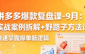 （16176期）拼多多爆款复盘课-9月：实战案例拆解+野路子方法论，快速掌握爆单新逻辑