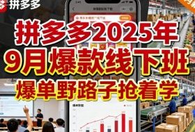 拼多多2025年9月爆款线下班，爆单野路子抢着学