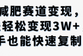 抖音减肥赛道变现，两种玩法轻松变现3W+，新手也能快速复制