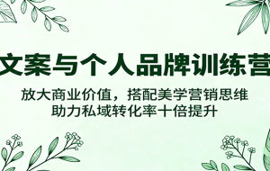 文案与个人品牌训练营，放大商业价值，搭配美学营销思维，助力私域转化率十倍提升