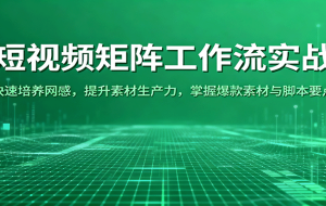 短视频矩阵工作流实战：快速培养网感，提升素材生产力，掌握爆款素材与脚本要点