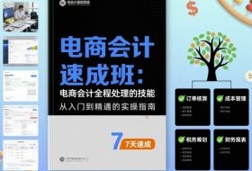 电商会计速成班，电商会计全程处理的技能