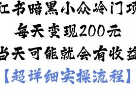 小红书暗黑小众冷门项目每天变现2张当天可能就会有收益