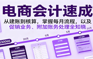 （16192期）电商会计7天速成，掌握平台取数、财税处理、报表分析，薪资翻倍至12k+