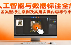 （16181期）数据标注技能实战营：AI基础、标注技术、行业变现，技能变现月收入1.5W+