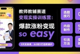 教师教辅赛道变现实操训练营，爆款涨粉变现so easy