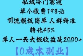 私域冷门赛道:单个收费198米引流模板简单人群精准转化45%单人一天大概收益是1k+