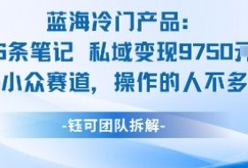 蓝海项目：16条笔记私域变现9750米小众赛道操作的人不多