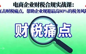 （16232期）电商企业财税合规实战课，直击财税痛点，帮助企业规避最高80%的税务风险