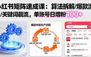 （16231期）小红书矩阵起号速成课：算法拆解/爆款流水线/关键词截流 单账号日增粉100+