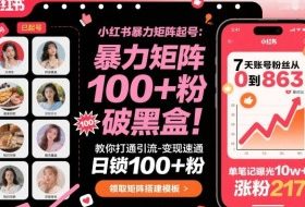 小红书暴力矩阵起号，教你打通引流-变现速通，日锁100+粉，破流量黑盒