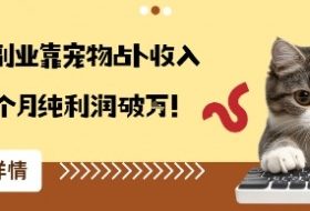 从兴趣到副业靠宠物占卜收入翻3倍一个月纯利润破W