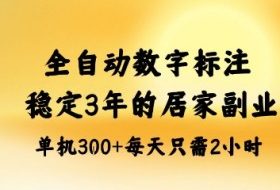 全自动数字标注，稳定3年的蓝海项目，居家也能矩阵开干的副业，单机日入3张+【揭秘】