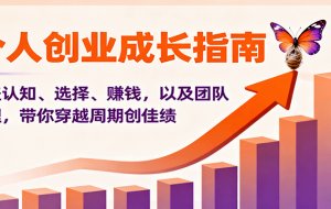 个人创业成长指南：涵盖认知、选择、赚钱，以及团队管理，带你穿越周期创佳绩