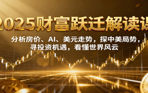 2025财富跃迁解读：分析房价、AI、美元走势，探中美局势，寻投资机遇，看懂世界风云