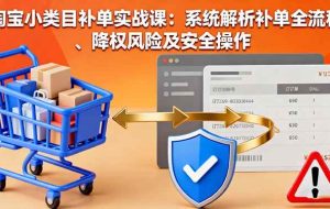 （16239期）淘宝小类目补单实战课：系统解析补单全流程、降权风险及安全操作