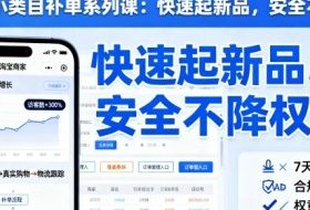 淘宝小类目补单系列课，快速起新品，安全不降权