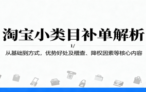 淘宝小类目补单解析：从基础到方式，优势好处及稽查、降权因素等核心内容