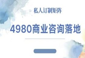 4980商业咨询师落地课程-ip运营高客单教程
