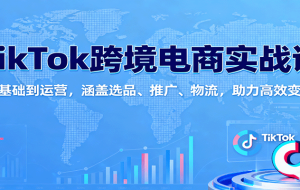 TikTok跨境电商实战课：从基础到运营，涵盖选品、推广、物流，助力高效变现