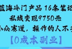 蓝海冷门产品：16条笔记私域变现9750米小众赛道，操作的人不多