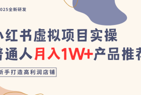 小红书虚拟项目实操指南，普通人月入1W+产品推荐，直接抄