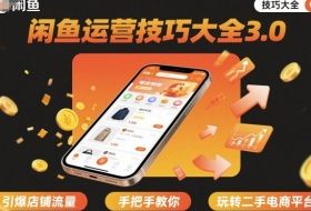 闲鱼运营技巧大全3.0，引爆店铺流量，手把手教你玩转二手电商平台