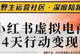 小红书虚拟电商14天变现训练营3.0，​虚拟产品，2025年普通人在小红书最后的搞钱机会
