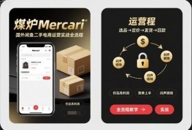 煤炉Mercari国外闲鱼二手电商运营实战全流程，仿品高利润，简单上手，闷声搞钱