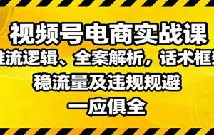 视频号电商实战课：推流逻辑、全案解析，话术框架，稳流量及违规规避等