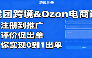 俄团跨境&Ozon电商课：从注册到推广，管评价促出单，带你实现0到1出单